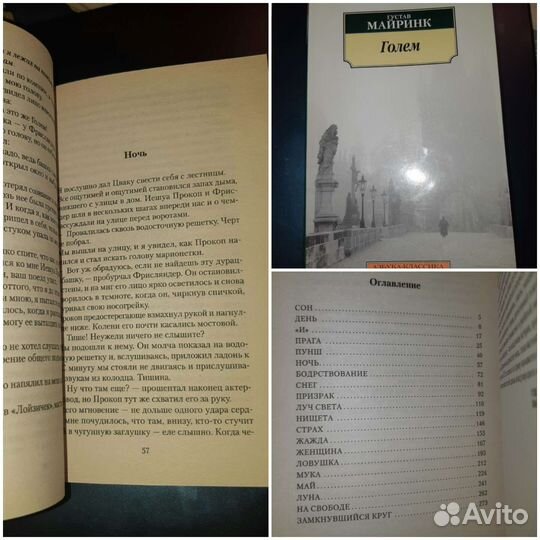 Сильвия Аваллоне Стальное лето, Голем Майринк