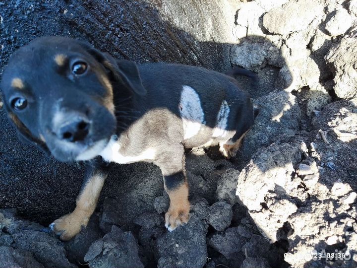 Малыш на стройке