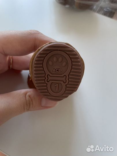 Ботинки для маленьких собак