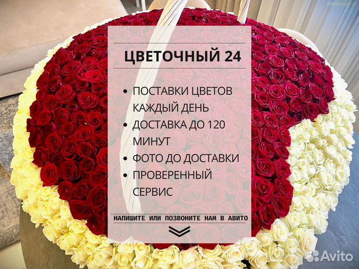 Гипсофилы цветы