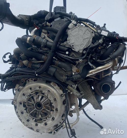 Двигатель caga Audi A6 4F/C6 рест