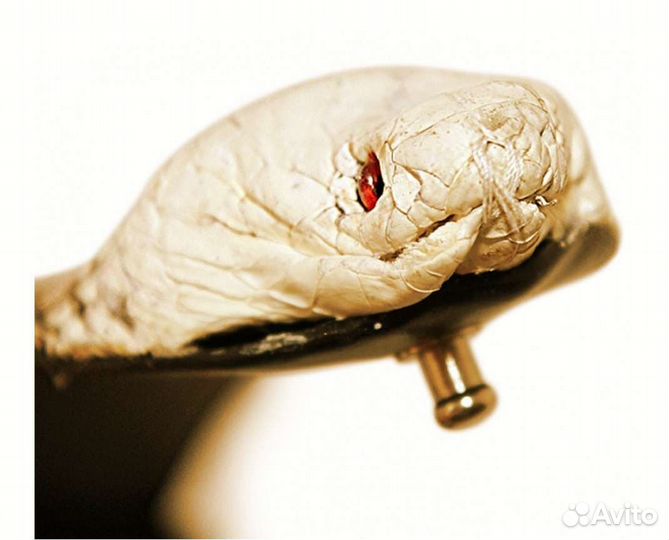 Ремень из кожи змеи