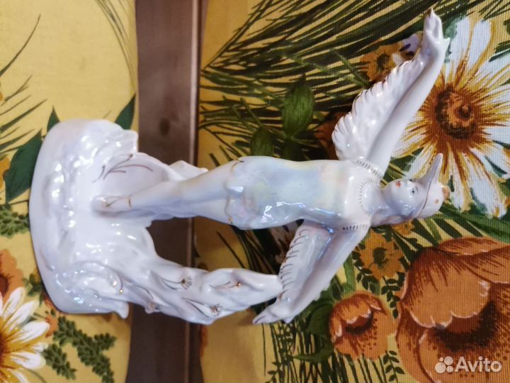 Девушка аист