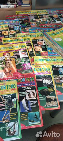 Журналы человеческое тело 1 - 82 номера