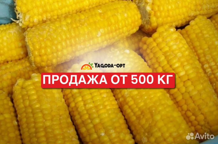 Замороженная кукуруза початок оптом