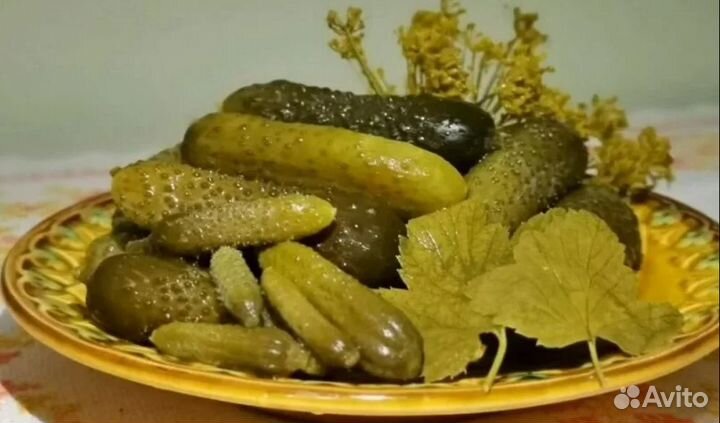 Огурцы соленые бочковые