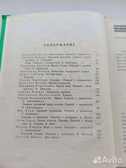 Чудесный родник сказки