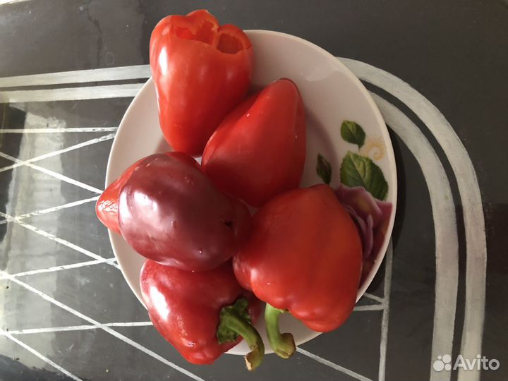 Семена сладкого перца