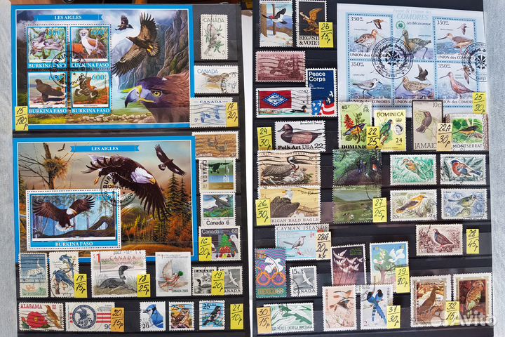 Марки. Птицы. Набор №3