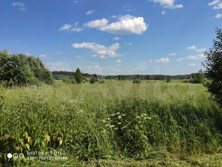 Участок 16 сот. (ИЖС)