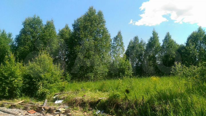 Участок 14 сот. (СНТ, ДНП)