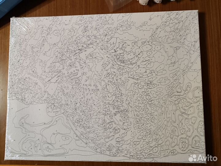 Холст от рacкраски по номeрaм 30*40 леопард