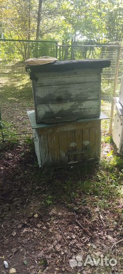 Продам ульи для пчел