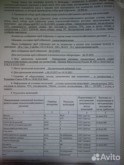 Горчица белая семена