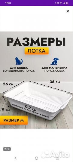 Лоток для котят