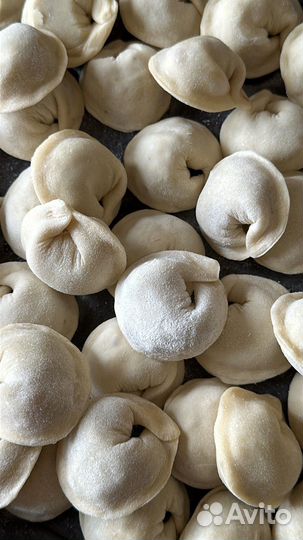 Курзе домашние