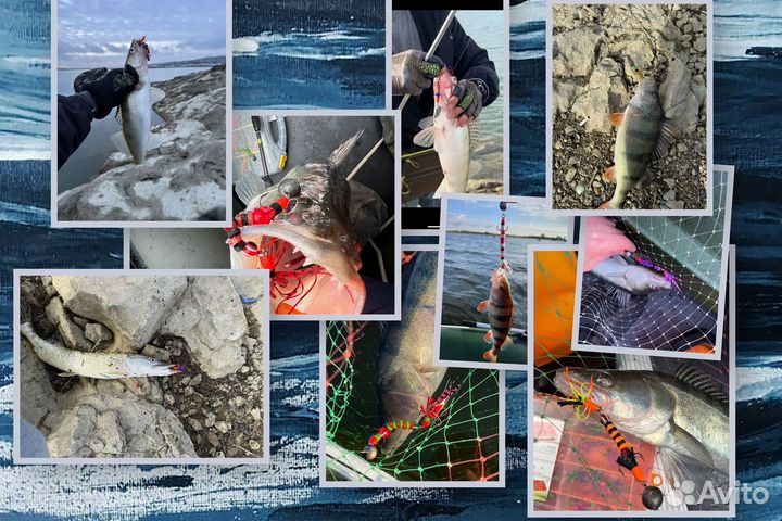 Приманки на судака