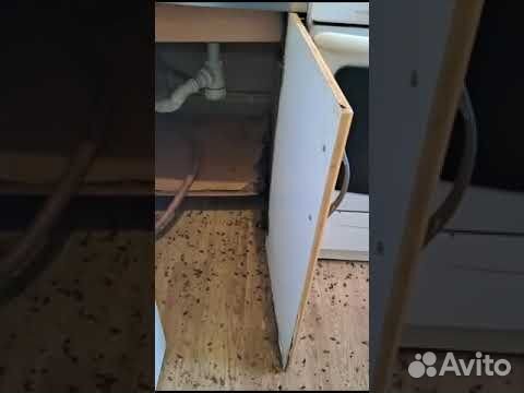 Уничтожение тараканов блох клопов мышей объявление продам
