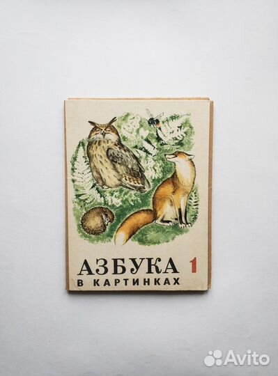 Азбука в картинках: листовое издание для школы