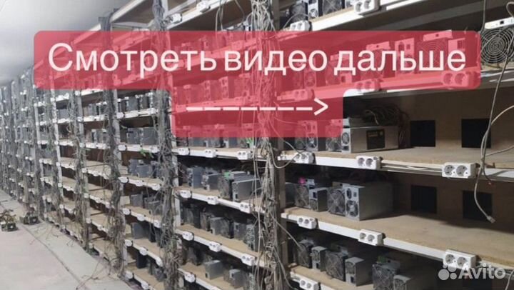 Майнинг отель для асиков