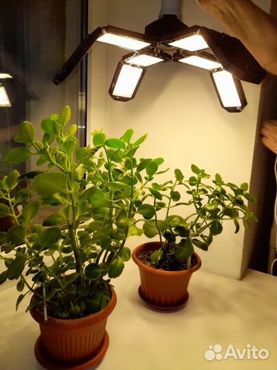 600W- 45 Вт Фитолампа Е27 для растений