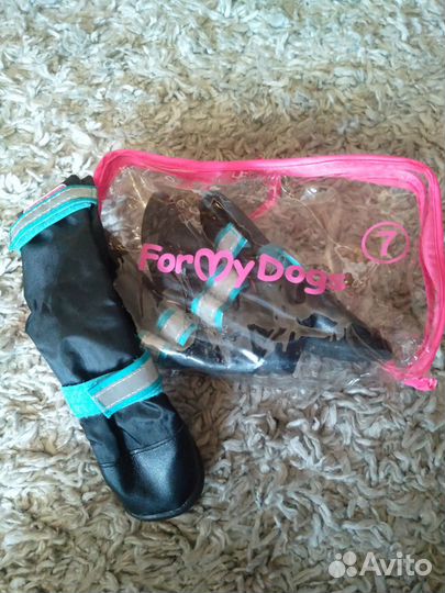 Обувь для собак