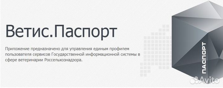 Ветис Меркурий