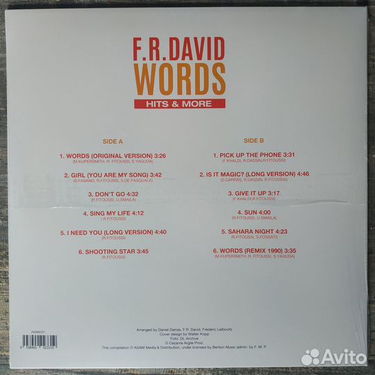 F. R. David - Words: Hits & More (2024) LP