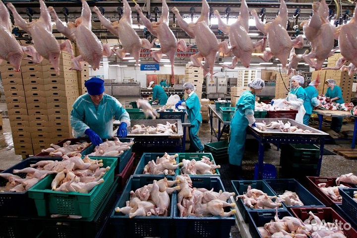 Фасовщик на Производство