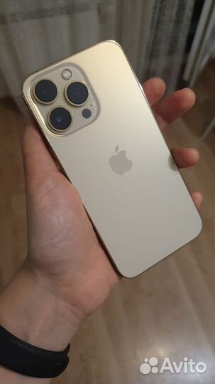 iPhone 13 pro gold 512