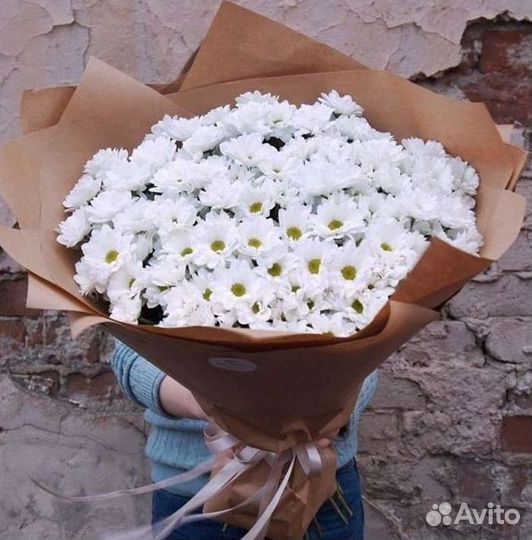 Хризантема. Букеты Цветы доставка