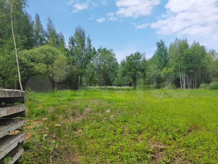 Участок 15 сот. (СНТ, ДНП)