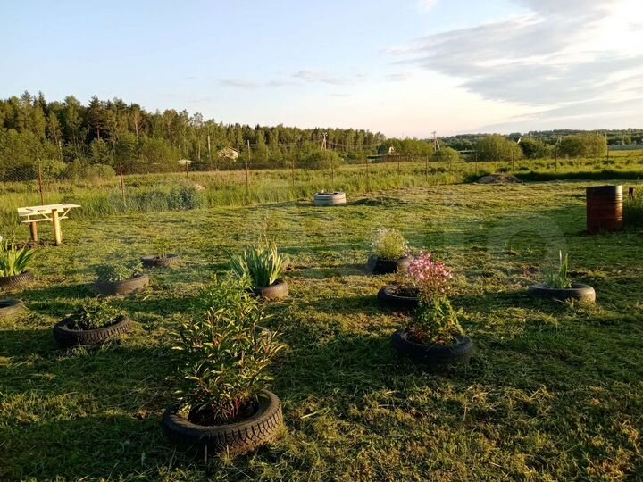 Участок 16 сот. (СНТ, ДНП)