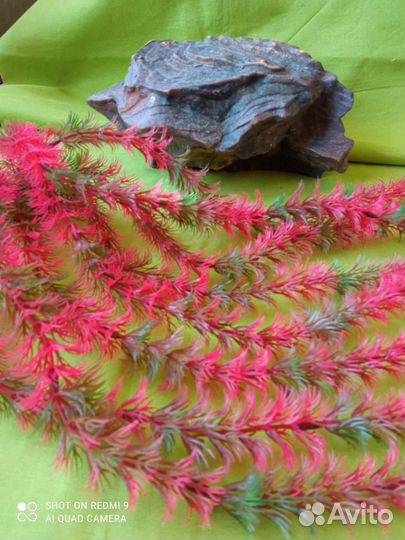 Аксессуары для аквариума