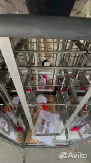 Профессиональная коптильня с функцией просушки