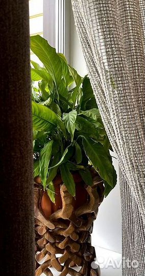 Дизайнерские шторы Пошив Доставка