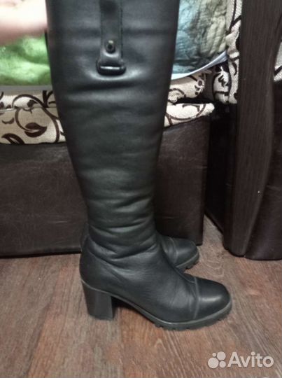 Сапоги женские