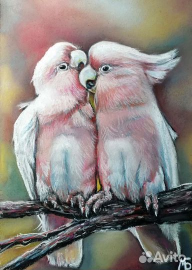 Картина с попугаями 