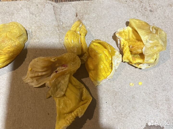 Пленка куриных желудков