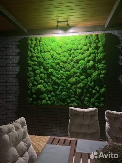 Стабилизированный мох производство, эко панели