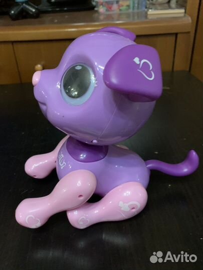 Собака робот