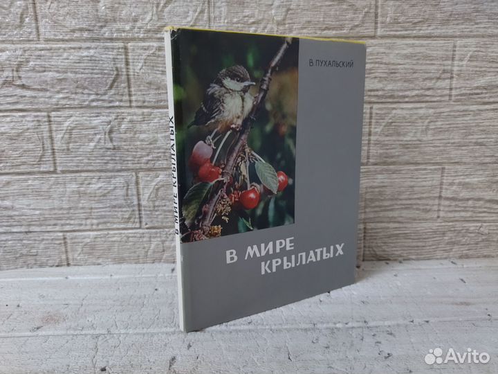Пухальский В. В мире крылатых