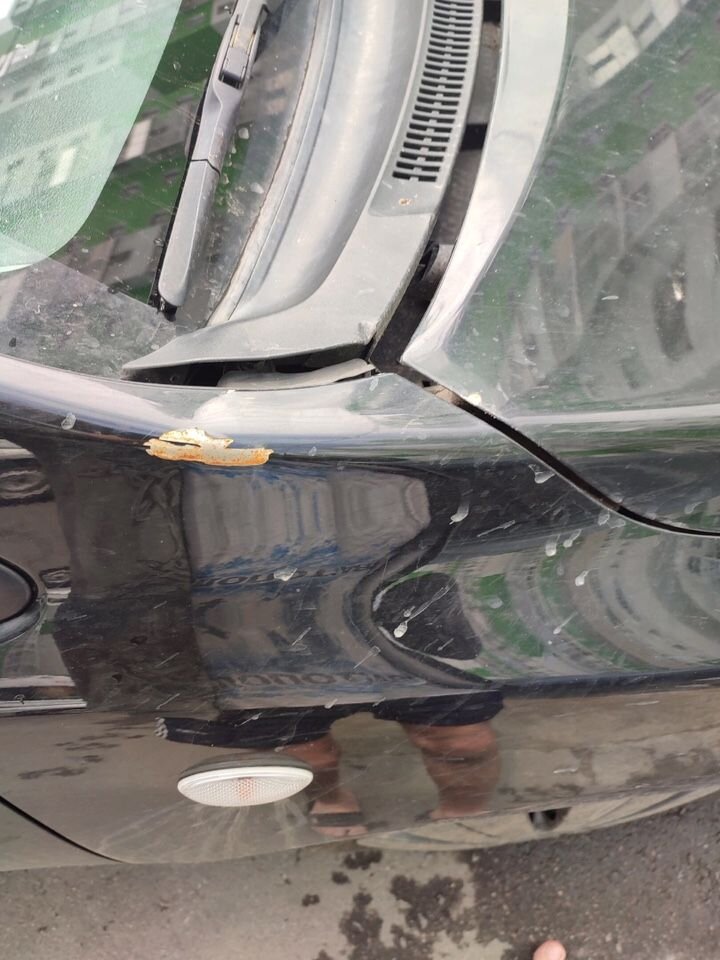 Toyota Corolla: фото владельца