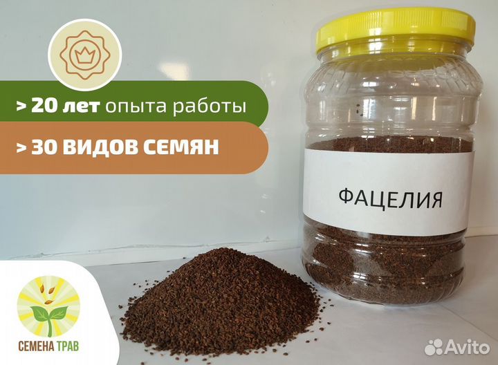 Семена фацелии