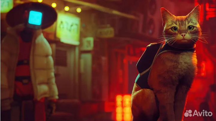 Игра Stray на диске Blu-Ray для PlayStation 5