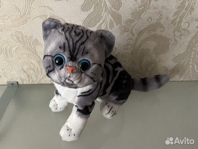 Мягкие игрушки кошки купить в Москве | Личные вещи | Авито