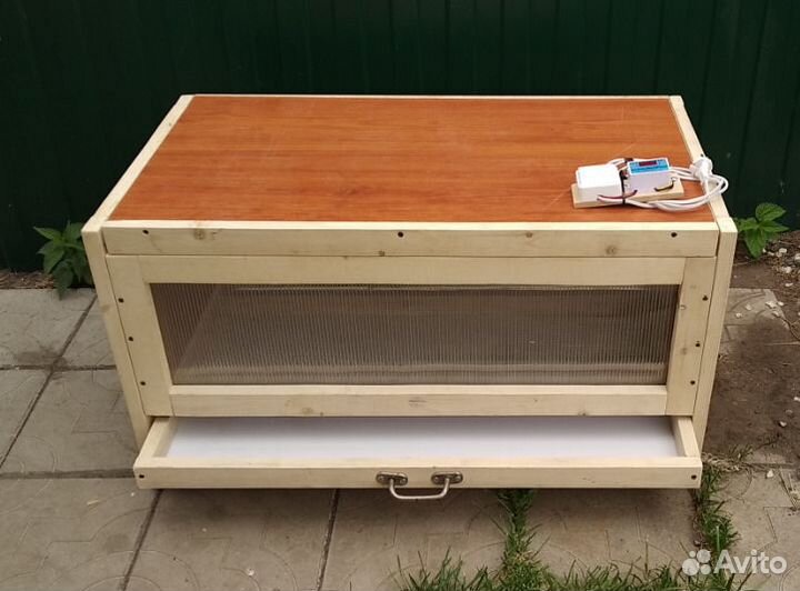 Брудер для цыплят