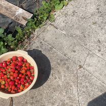 Участок 6 га (СНТ, ДНП)