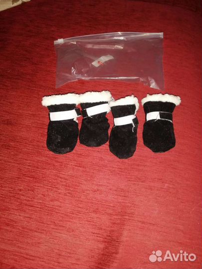 Обувь для собак