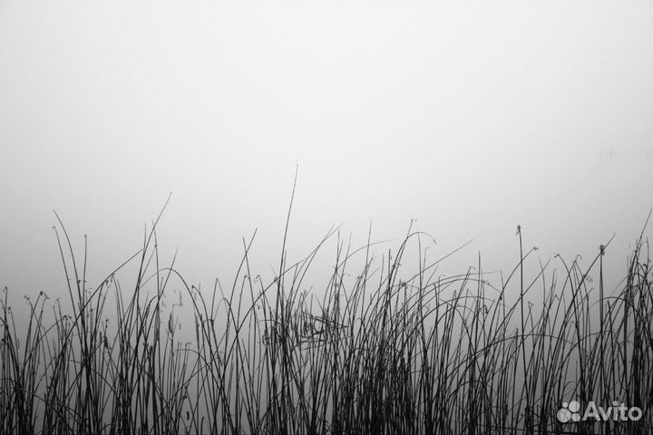 Фотоаппарат canon 600d